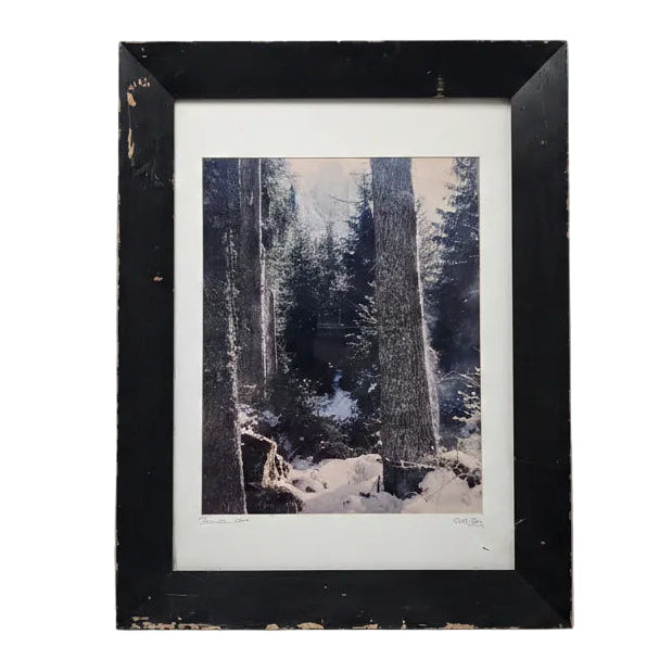 Framed Forest Print 'Dolomites' by Beth Gray, 2000