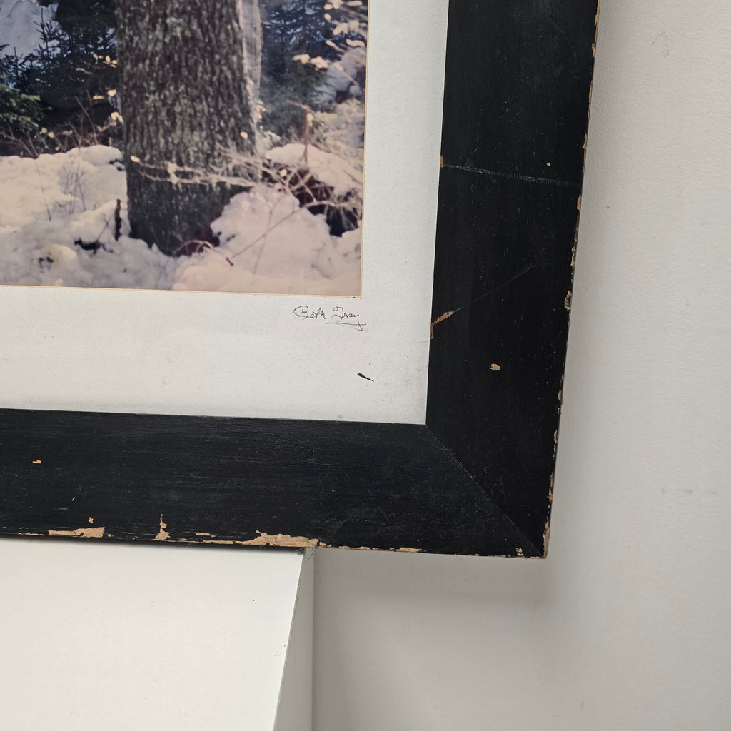 Framed Forest Print 'Dolomites' by Beth Gray, 2000