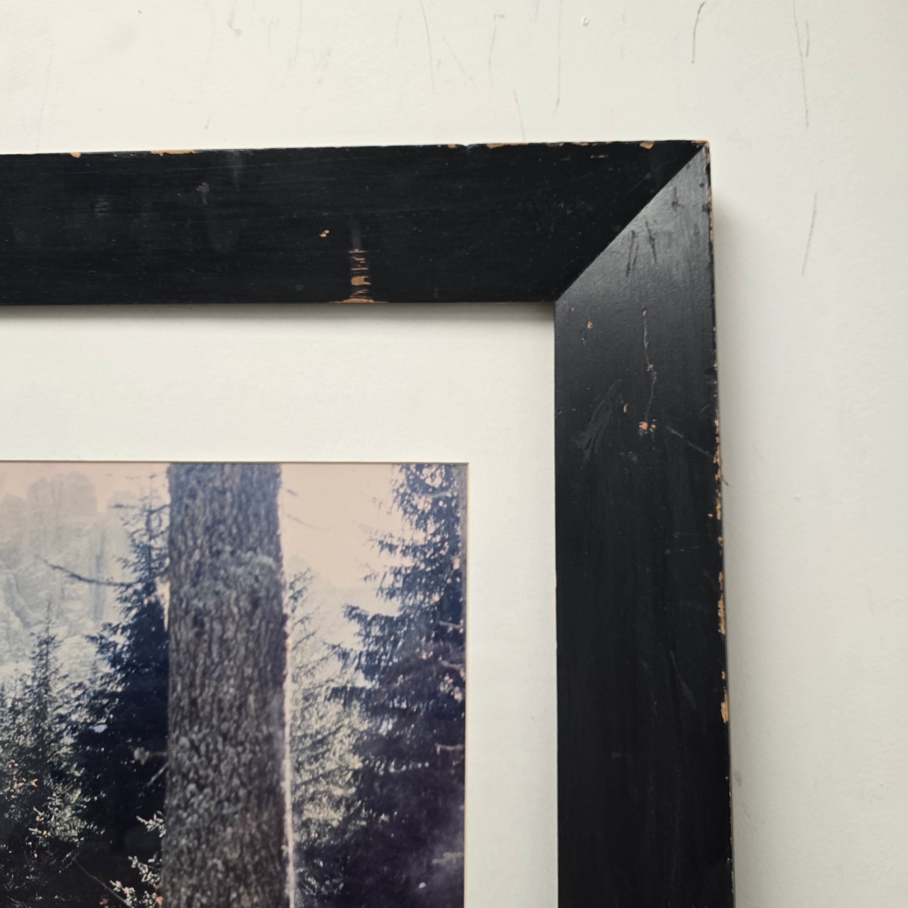 Framed Forest Print 'Dolomites' by Beth Gray, 2000