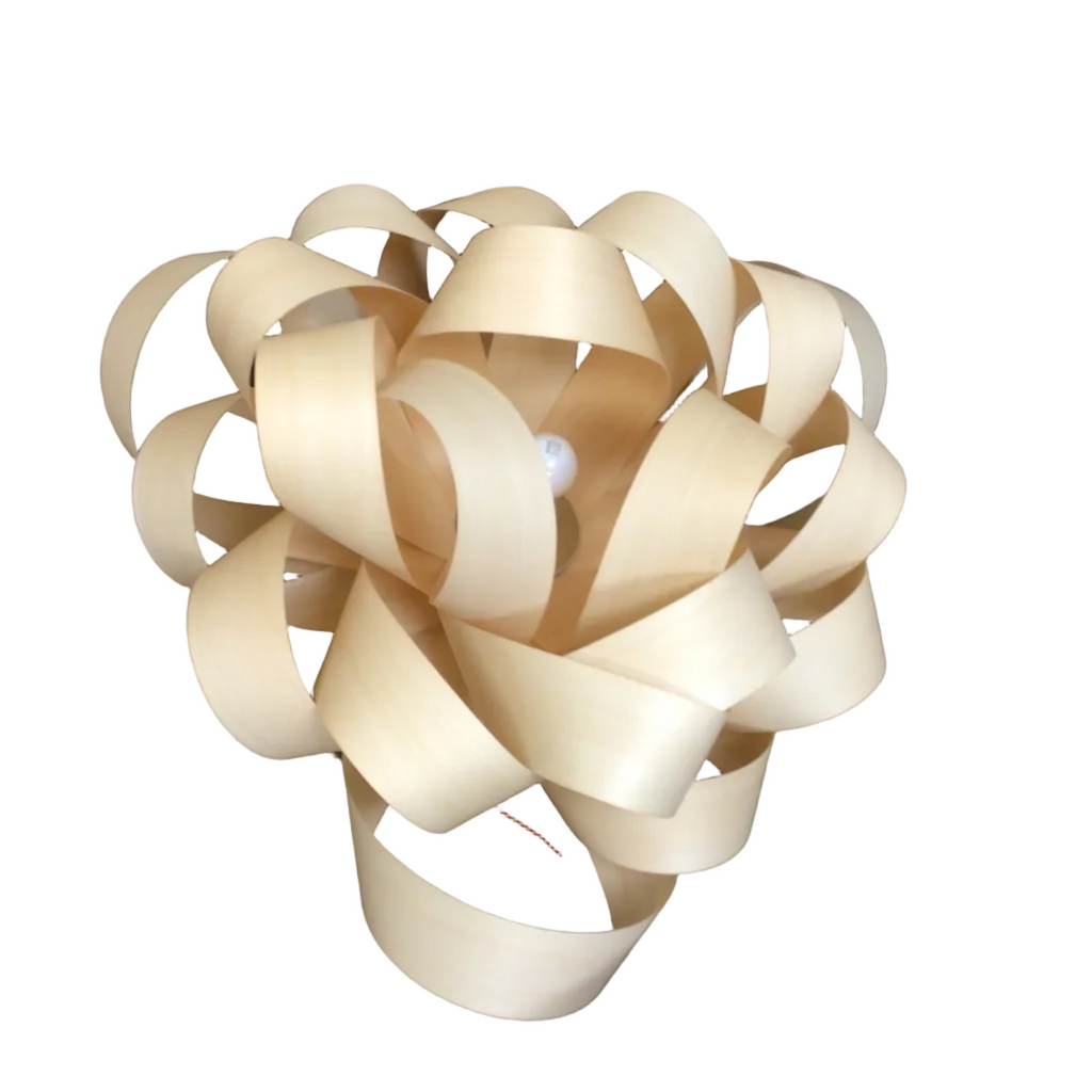 Ribbon Style Light Fixture