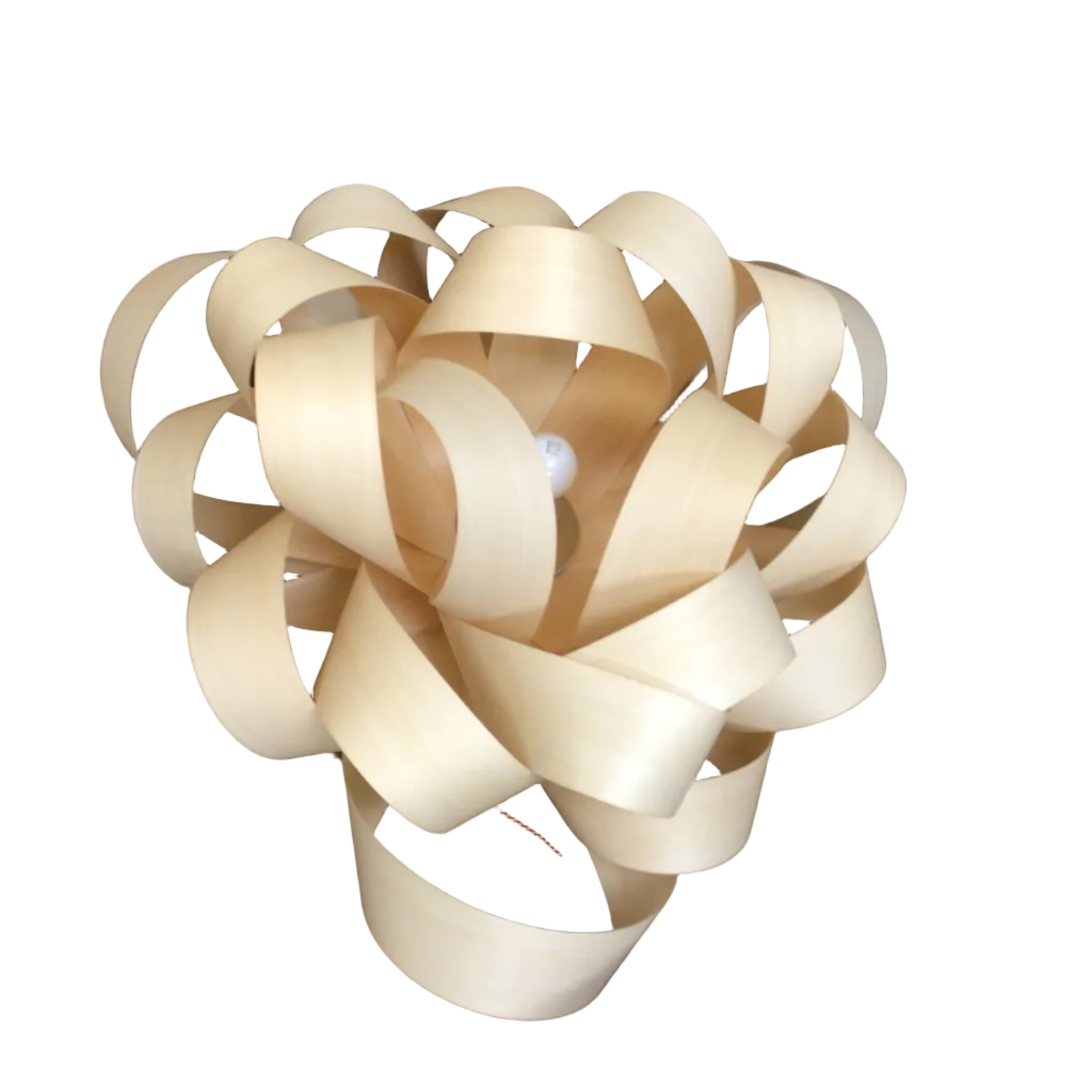 Ribbon Style Light Fixture
