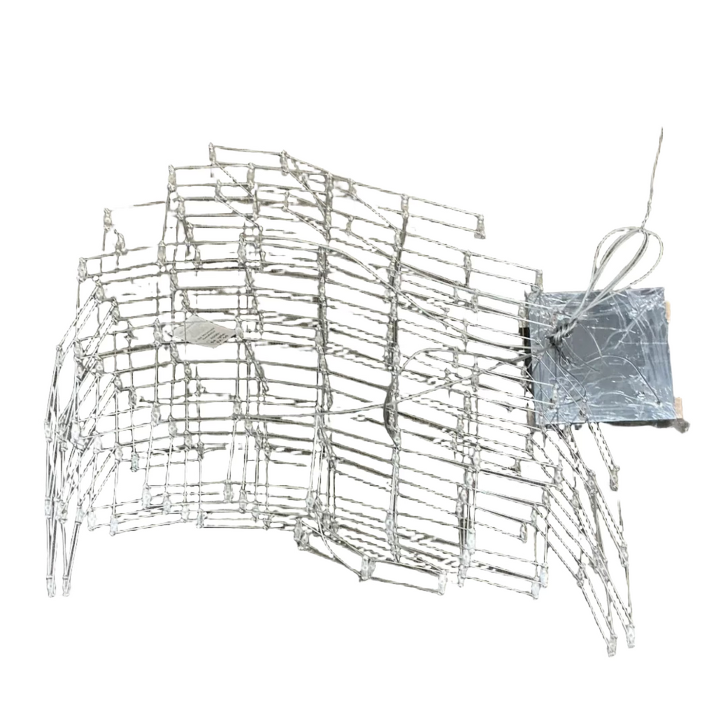 Wire Frame Light Fixture
