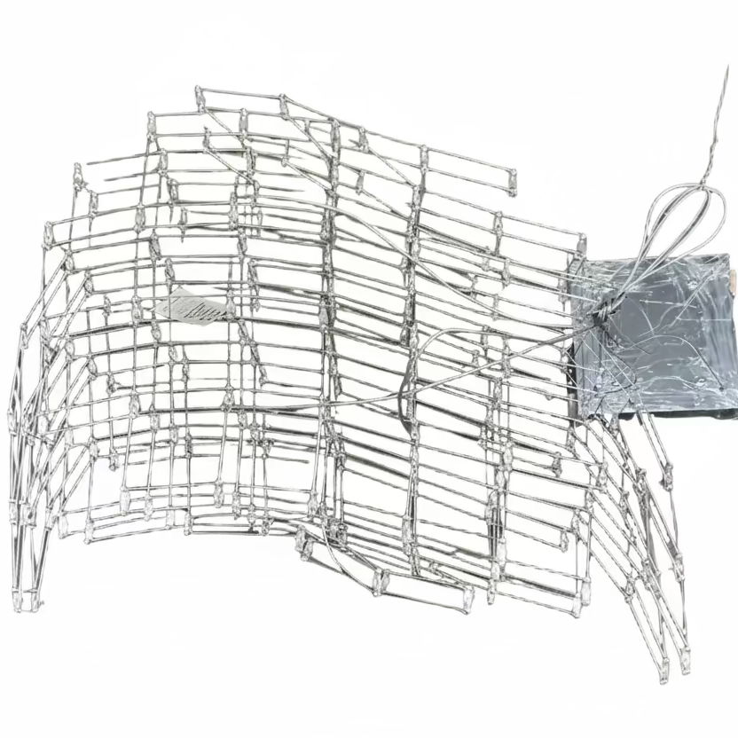 Wire Frame Light Fixture