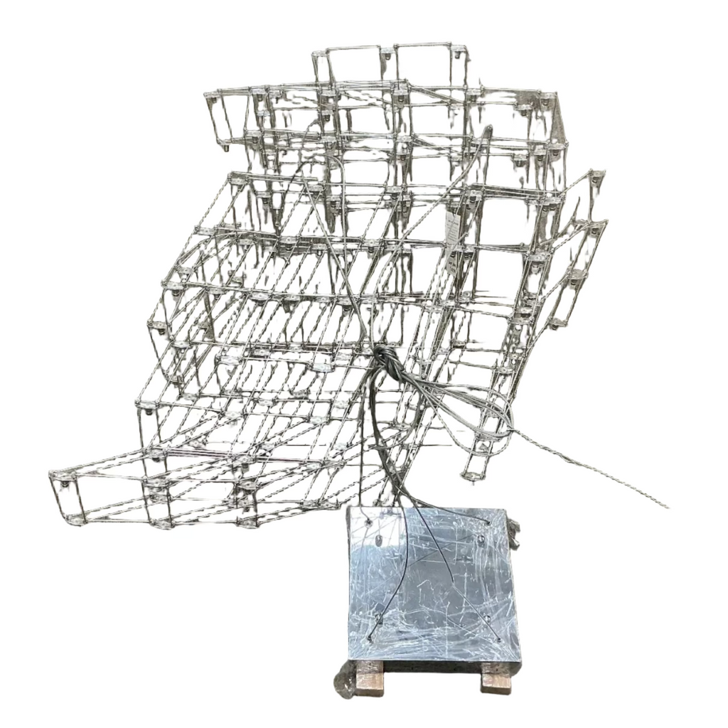 Wire Frame Light Fixture