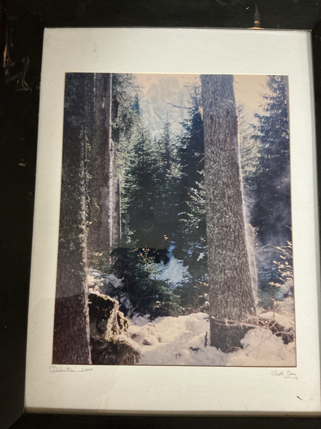 Framed Forest Print 'Dolomites' by Beth Gray, 2000