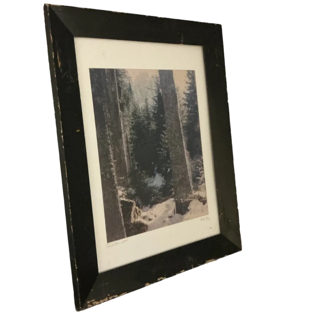 Framed Forest Print 'Dolomites' by Beth Gray, 2000