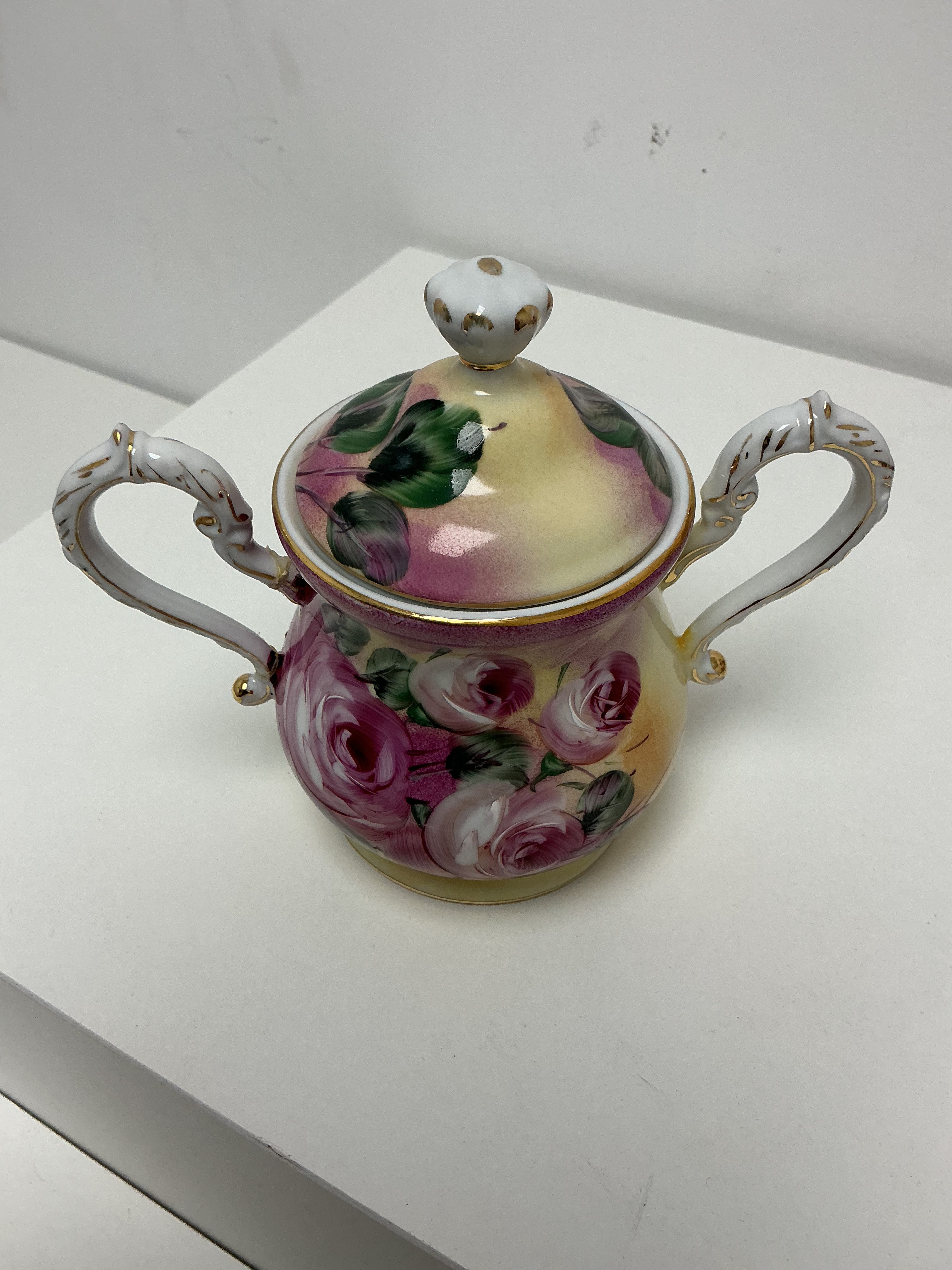 Vintage Porcelain Tea Set with Rose Decoration