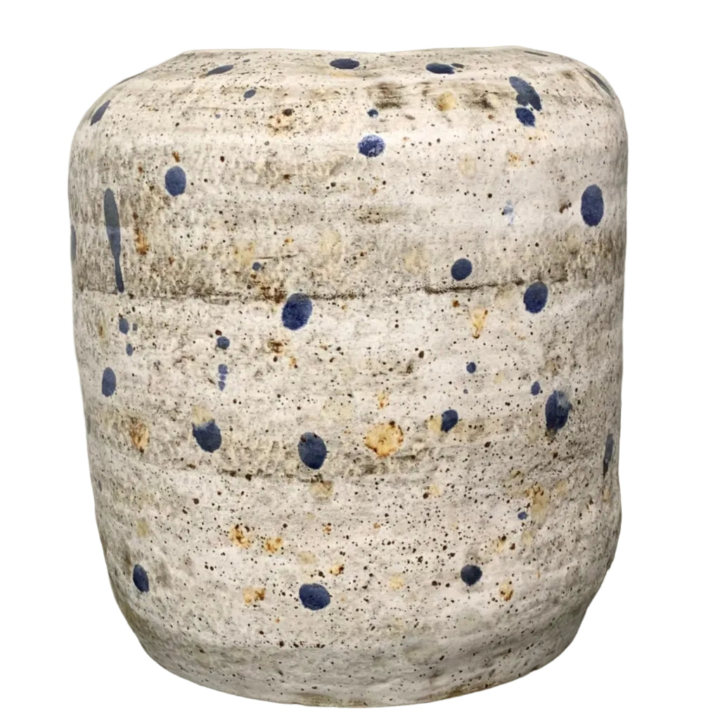 Speckled Ceramic Vase by Crate&Barrel