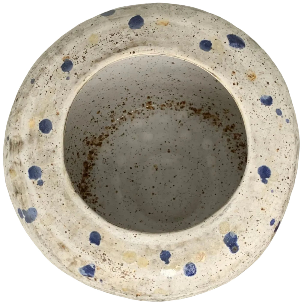 Speckled Ceramic Vase by Crate&Barrel