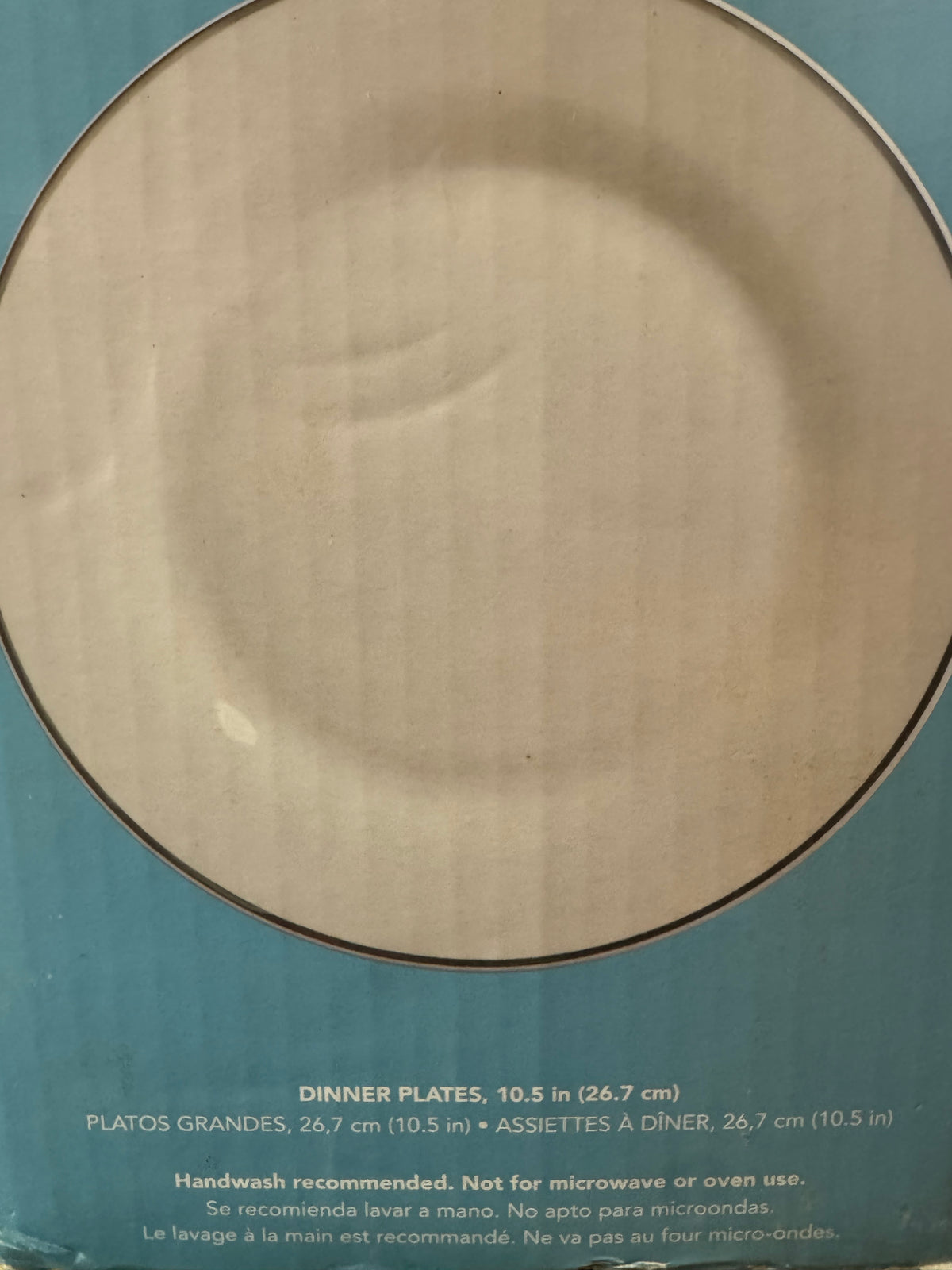 Porcelain Dinner Plates - Set of 12