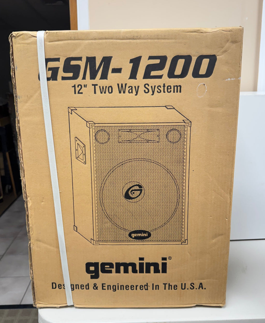 Gemini GMS-1200 12" Two-Way System