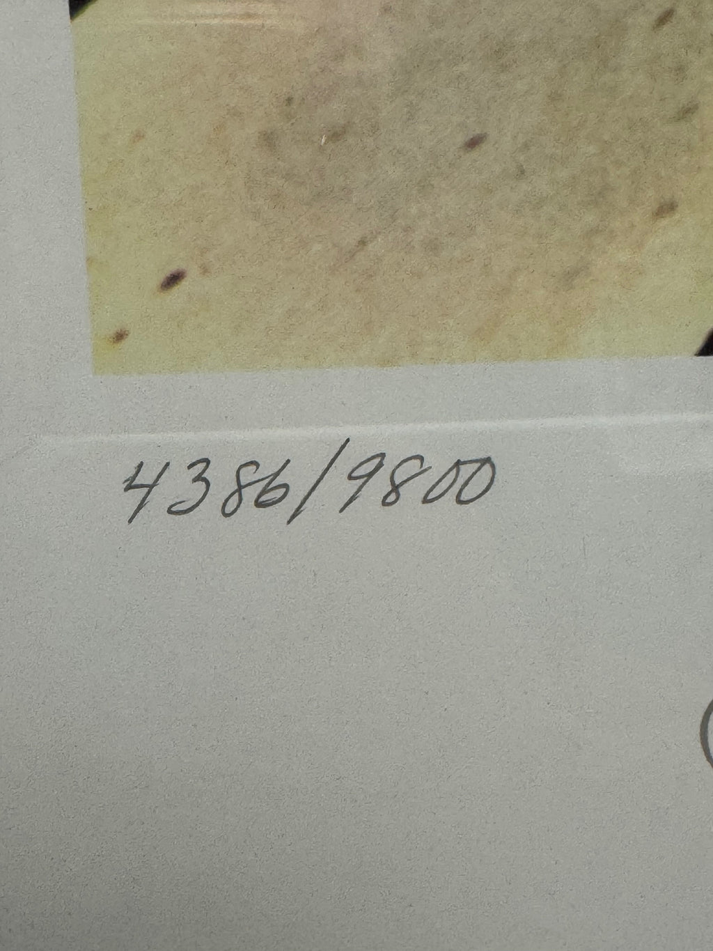 The Beatles "Abbey Road" Limited Edition Lithographic Print, 1993