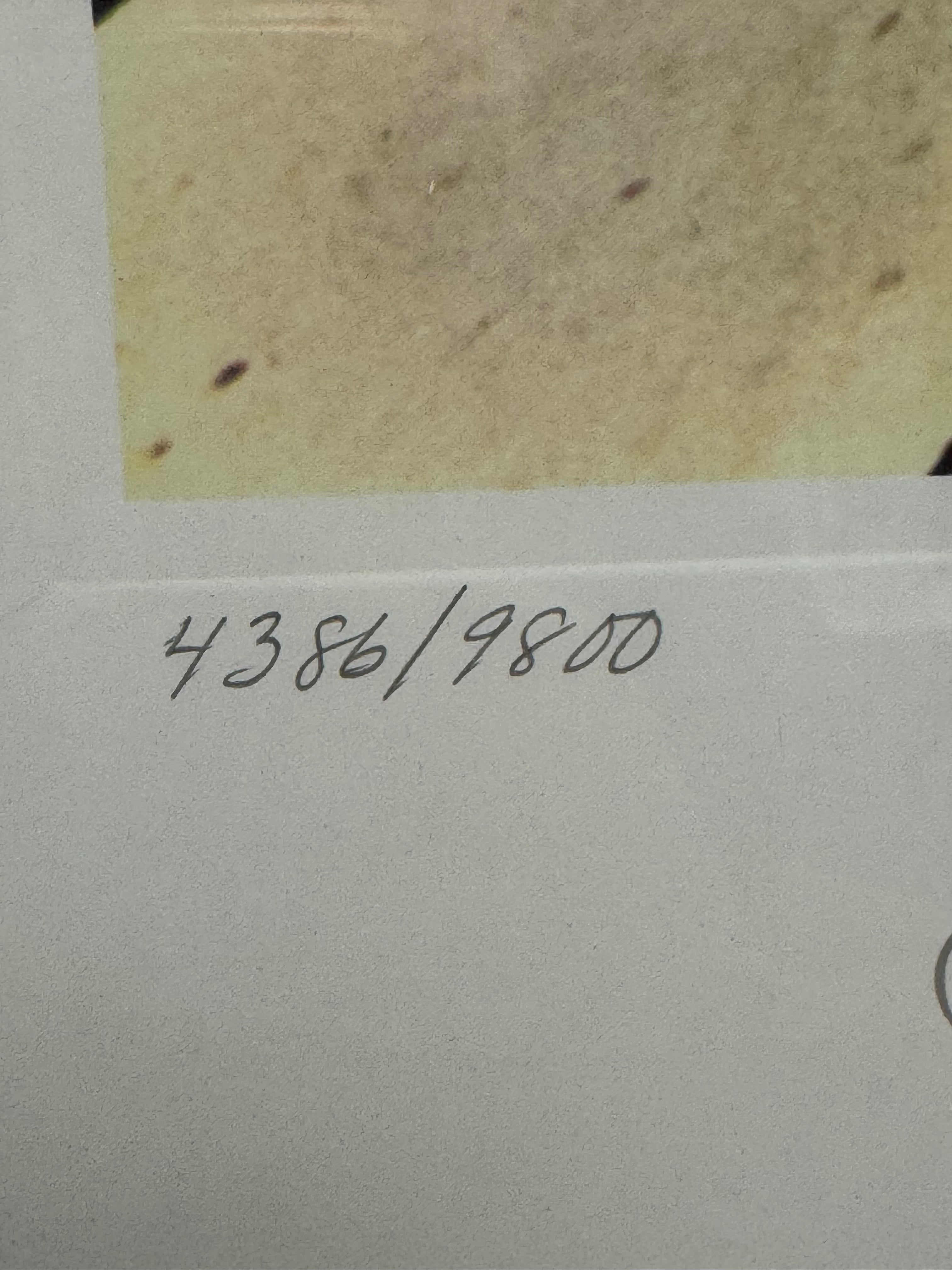 The Beatles "Abbey Road" Limited Edition Lithographic Print, 1993