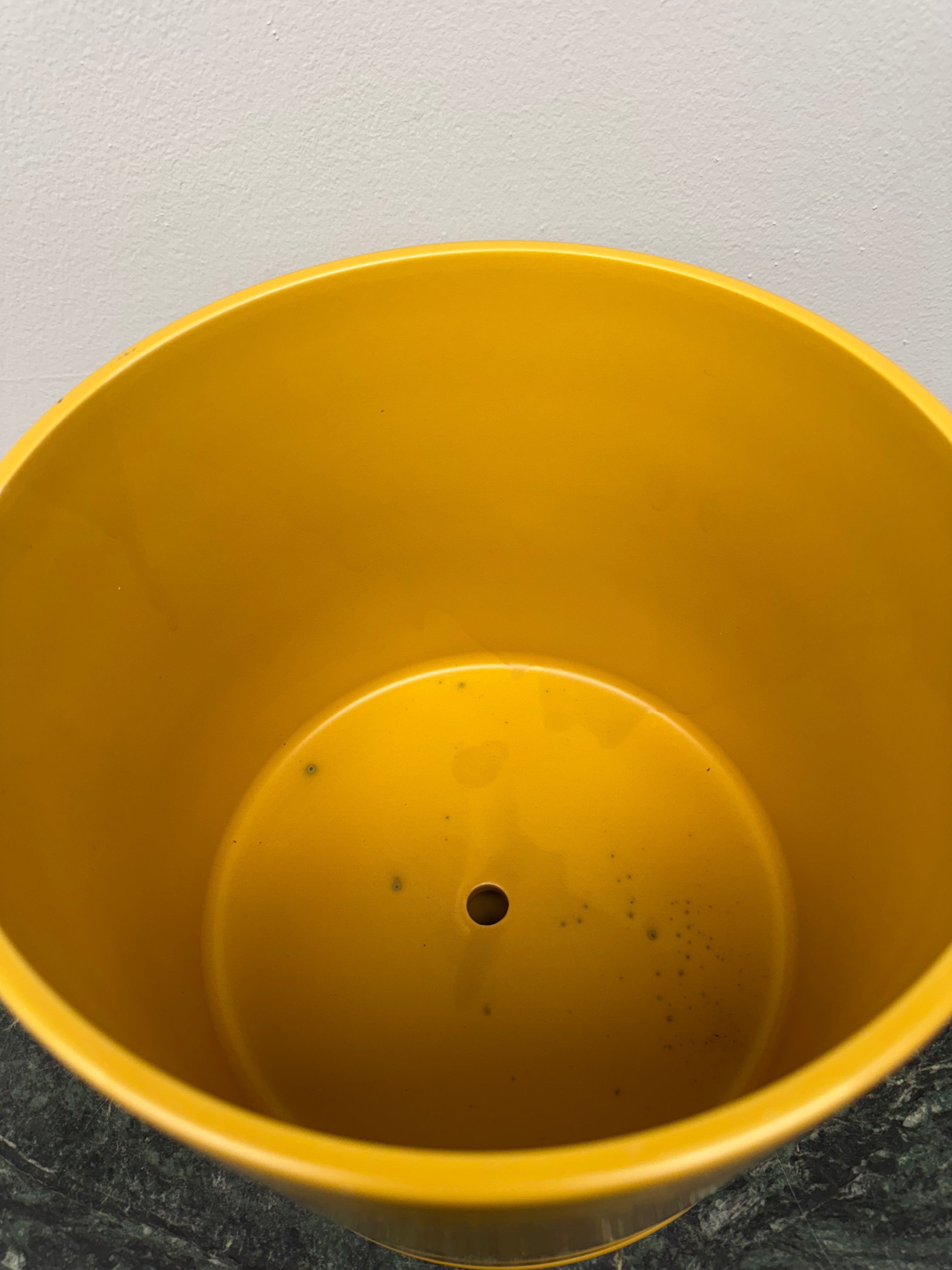 Cylinder Planter in Mustard Yellow