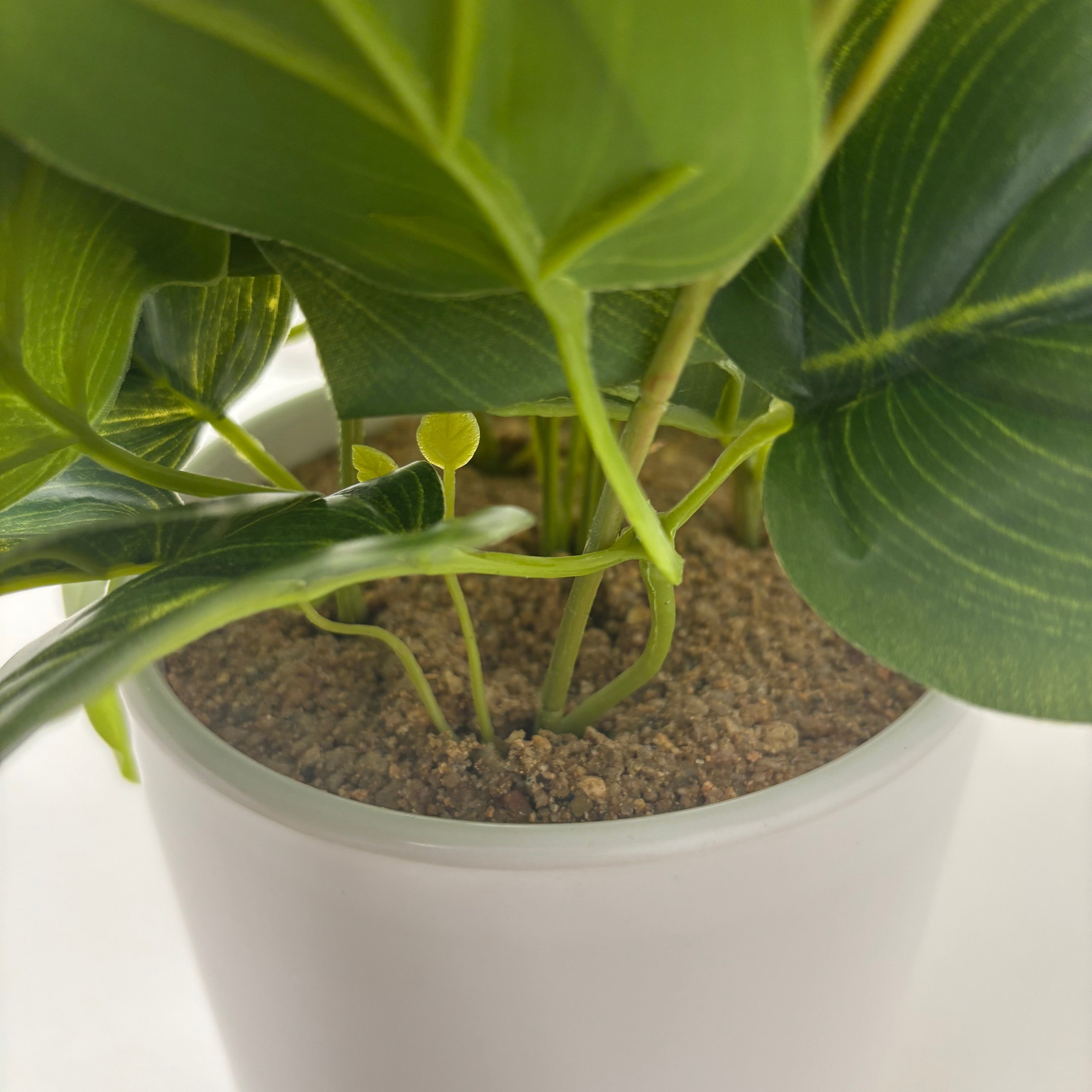 Artificial Plant in White Ceramic Pot