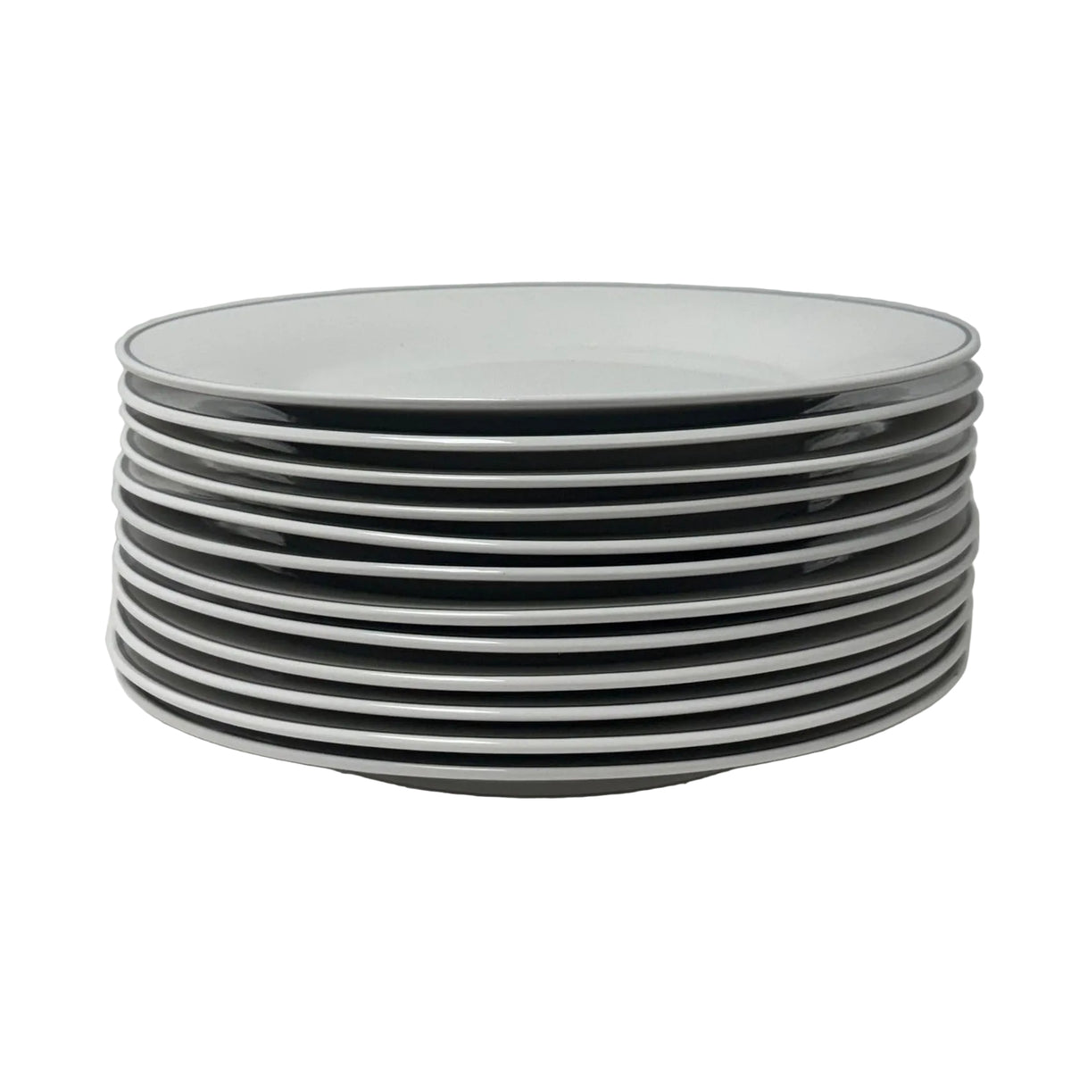 Porcelain Dinner Plates - Set of 12