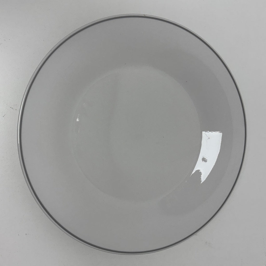 Porcelain Dinner Plates - Set of 12
