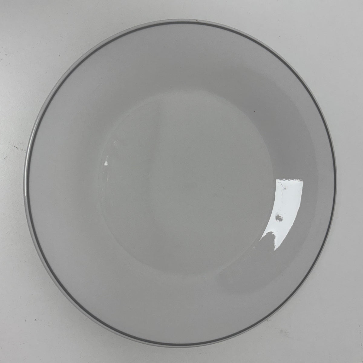 Porcelain Dinner Plates - Set of 12