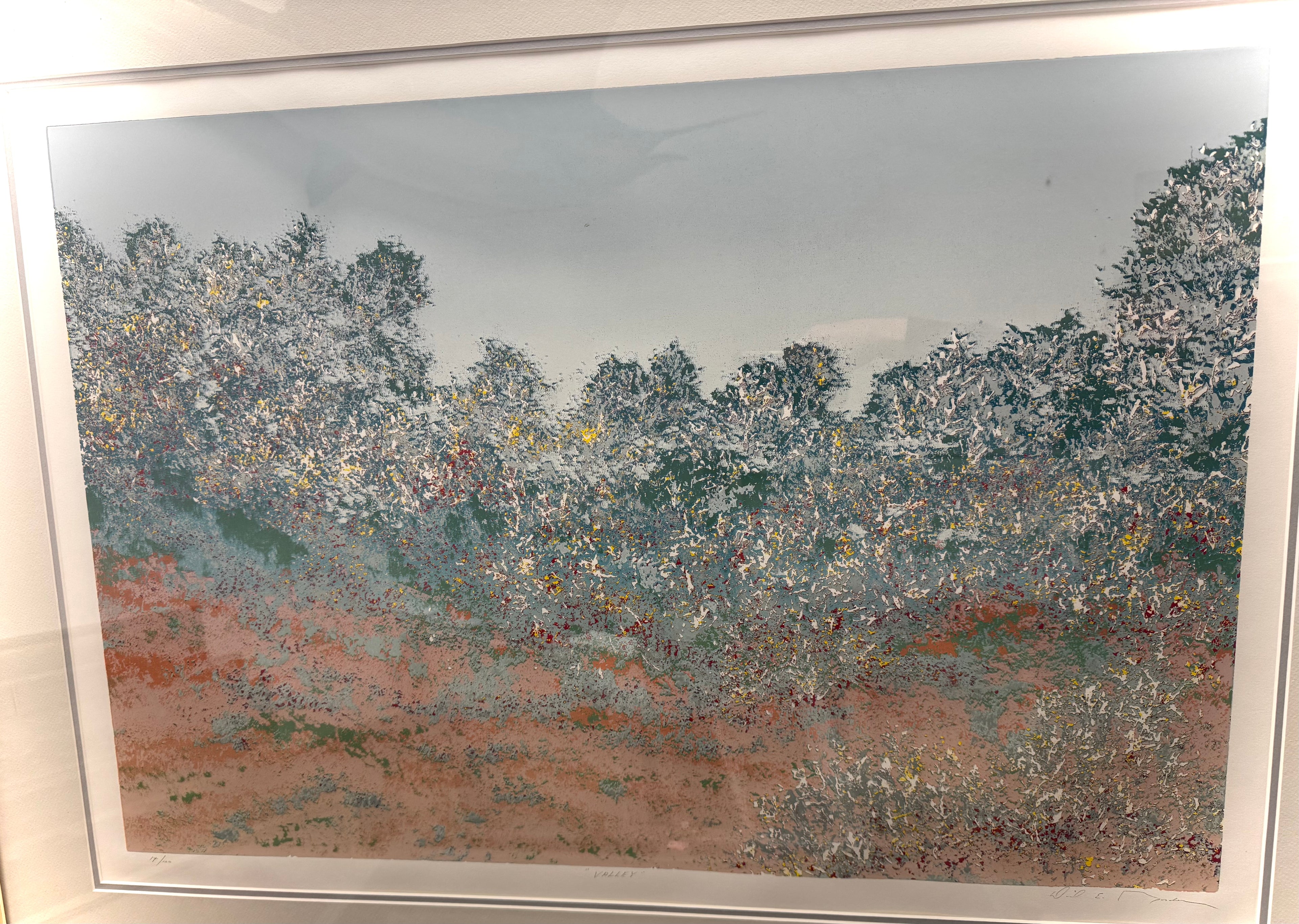 "Valley" by David Gordon, Signed and Numbered Print