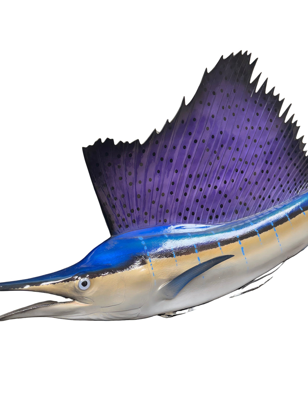 75-Inch Atlantic Sailfish Wall Decor by King Sailfish Mounts